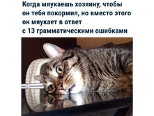 ����� �������� �������, ����� �� ��������, �� ������ ����� �� ������� � ����� � 13 ��������������� ��������