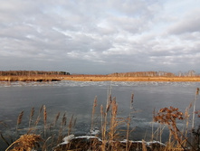 IMG 20201121 124629.jpg