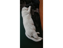 IMG 20201113 112128.jpg