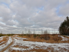 IMG 20201115 125732.jpg