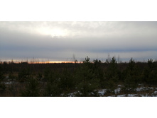 IMG 20201122 102615.jpg