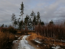 IMG 20201115 120439.jpg