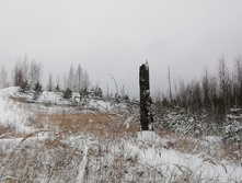 IMG 20201129 101116.jpg