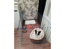 ����������� viber 2020-11-03 21-11-13.jpg