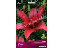 2020 ���� ��� ����� ��������� ��������