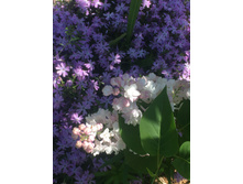 ��������� ������