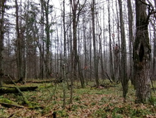 IMG 20201101 103023.jpg