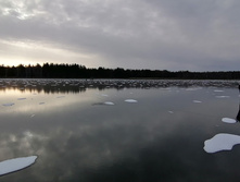 IMG 20201122 114325.jpg