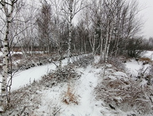 IMG 20201129 091428.jpg