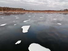 IMG 20201121 131322.jpg