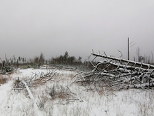 IMG 20201129 101605.jpg