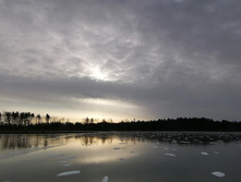 IMG 20201122 114623.jpg