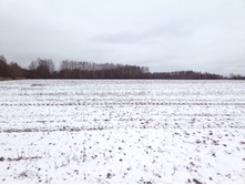 20201114 � ������� 1407.jpg