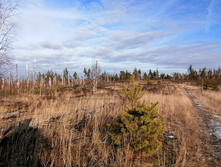 IMG 20201121 123250.jpg