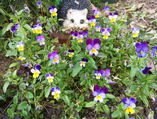 IMG 20200926 143456.jpg
