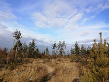 IMG 20201121 123557.jpg