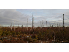 IMG 20201115 120728.jpg