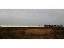 IMG 20201122 102327.jpg