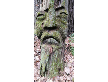 IMG 20201101 092625.jpg