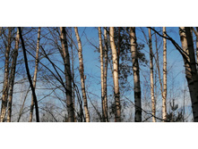 IMG 20201121 111627.jpg