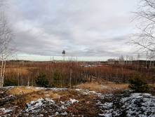 IMG 20201115 122248.jpg