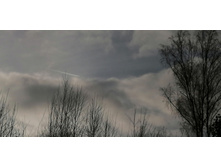 IMG 20201121 124526.jpg