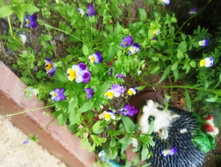 IMG 20200628 141135.jpg