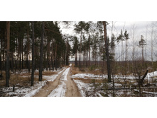 IMG 20201115 110422.jpg