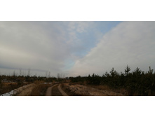 IMG 20201122 102040.jpg