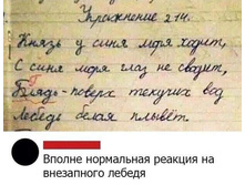 FB IMG 1605453056289.jpg