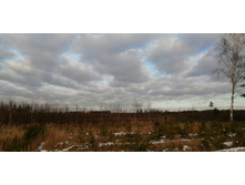 IMG 20201115 132212.jpg