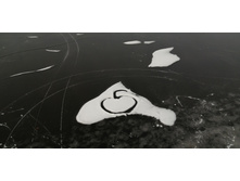 IMG 20201122 120727.jpg