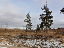 IMG 20201115 115804.jpg