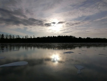 IMG 20201121 131825.jpg