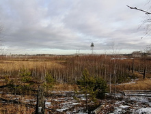 IMG 20201115 122015.jpg