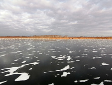 IMG 20201121 125557.jpg