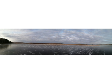 IMG 20201121 125331.jpg