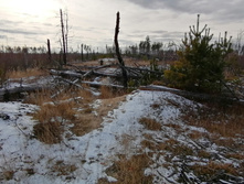 IMG 20201115 123445.jpg