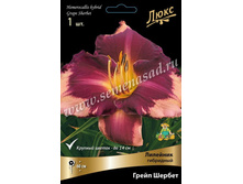 2020 ����� ������ * �������� ���������