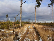 IMG 20201115 120957.jpg