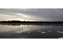 IMG 20201122 113944.jpg