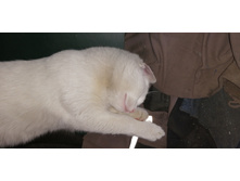 IMG 20201113 112145.jpg