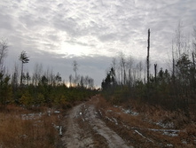 IMG 20201122 111106.jpg