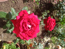 IMG 20200711 111221.jpg