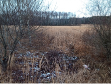 20201114 � ������� 1135.jpg