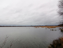 IMG 20201108 082711.jpg