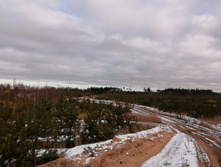 IMG 20201115 110218.jpg