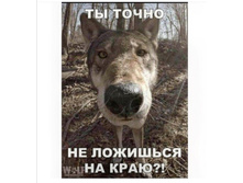 Screenshot 20201125 191717.jpg