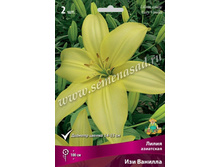 2020 140 ���.��� ����� ����� ��������� 137 ���. ��� ������� ����� ���������