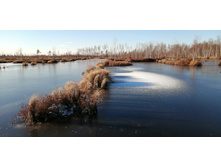 IMG 20201118 122121.jpg